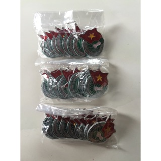 100 huy hiệu đoàn