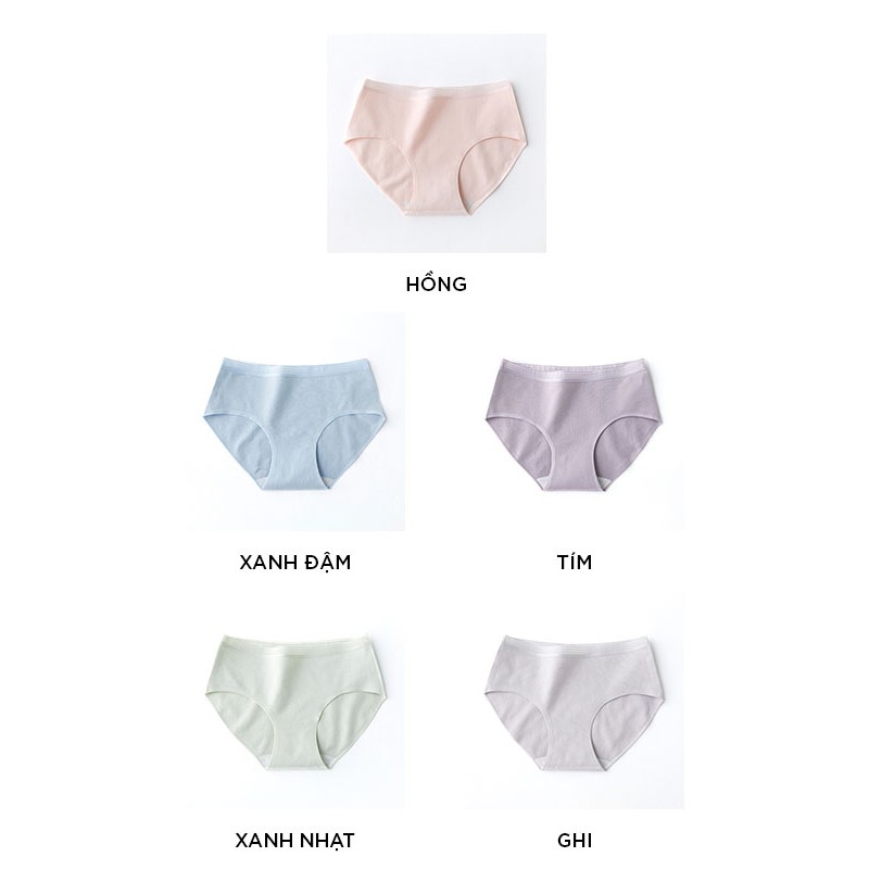 Quần lót nữ cotton cao cấp viền ren co giãn kháng khuẩn siêu đẹp QL13 | BigBuy360 - bigbuy360.vn
