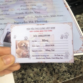 Chứng minh thư-giấy khai sinh cho thú cưng