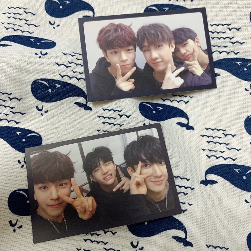 Card Unit Stray Kids