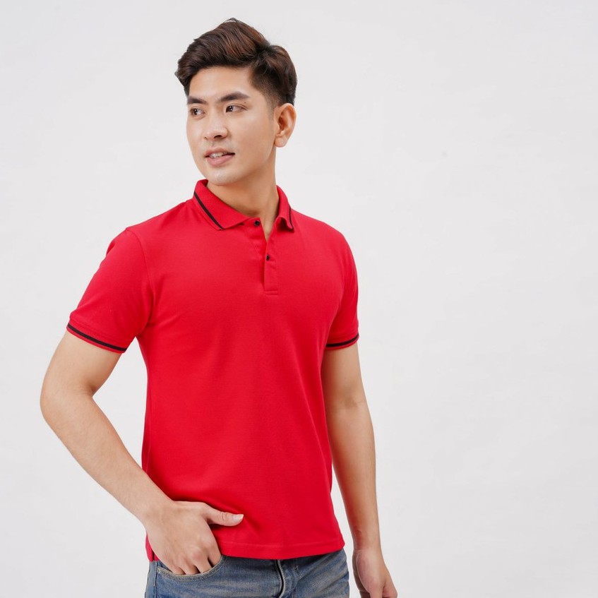 Áo polo nam trơn đẹp áo phông thun nam hàng hiệu màu đen trắng FAVITI AT02 | BigBuy360 - bigbuy360.vn