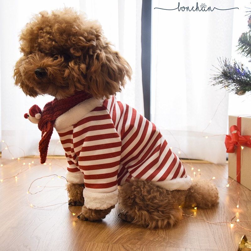 Áo Noel cho chó mèo - Áo sọc đỏ kèm khăn quàng cổ