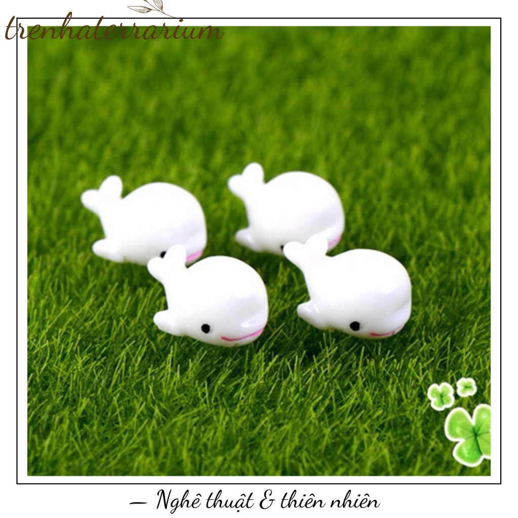 Tiểu cảnh chú cá heo trang trí sen đá, xương rồng, terrarium, charm slime, cây cảnh mini, cây để bàn, đồ trang trí