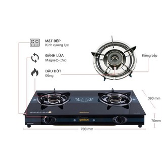 Bếp gas Goldsun BA2207