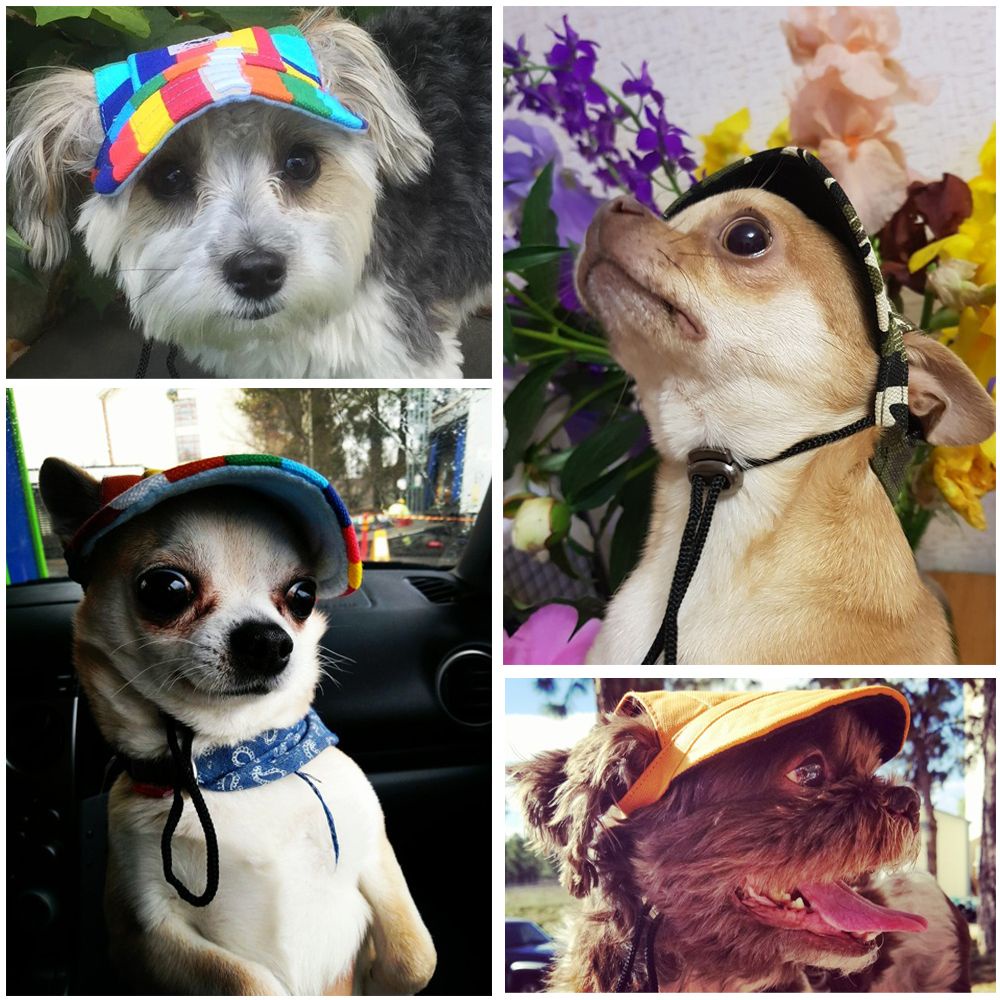 Mũ Lưỡi Trai Bằng Vải Cotton Canvas Thời Trang Dễ Thương Cho Cún Cưng