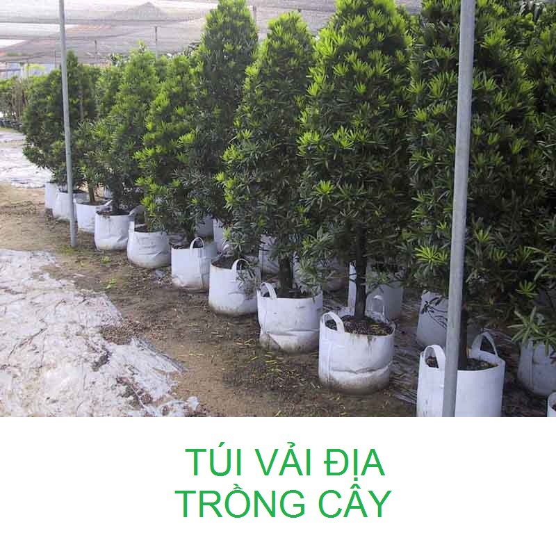 túi vải trồng cây 2 quai xách kích thước 20x20cm