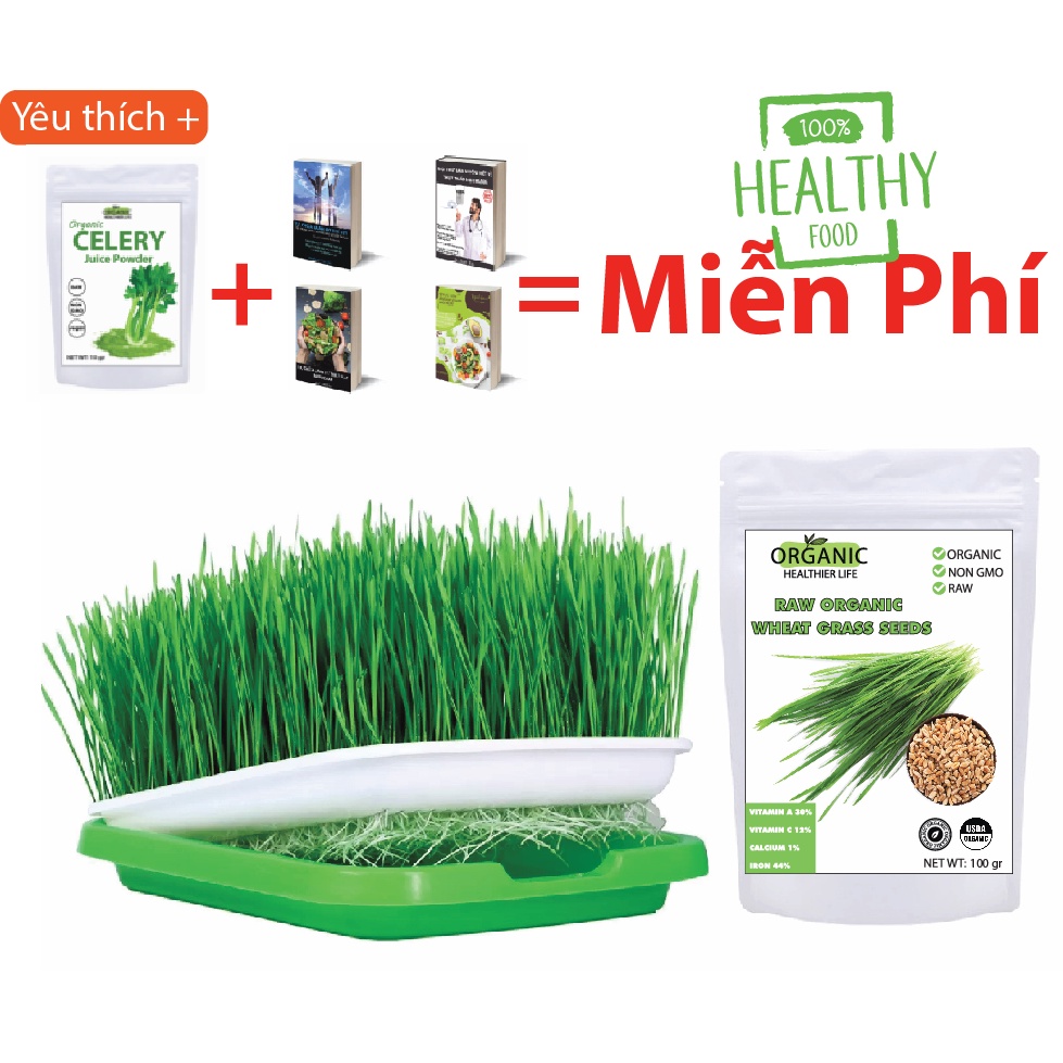 Hạt giống cỏ lúa mì hữu cơ + khay trồng+ quà 531k