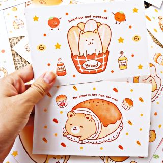 (Hình thật) Postcard Bread Bear siu cute
