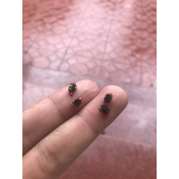 Mồi ruồi mini loại cực nhỏ cho lure mương suối câu cá mương