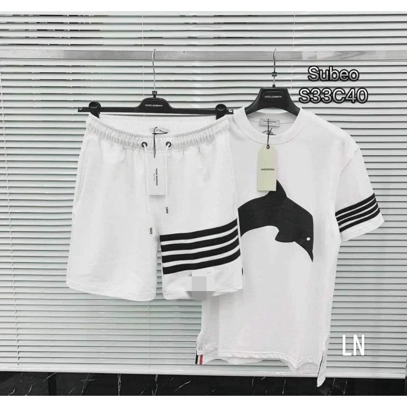 Bộ 3 vạch cá voi TH6