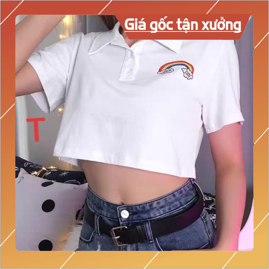 Áo polo croptop cầu vồng TT12