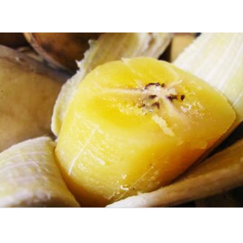 2Kg-Chuối sáp vàng cơm Bến Tre đặc sản