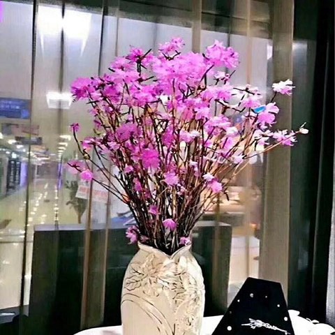 Hoa đỗ Quyên com bo khách