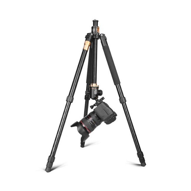 [Mã 44ELSALE2 giảm 7% đơn 300K] Chân máy ảnh Tripod Beike Q-999H