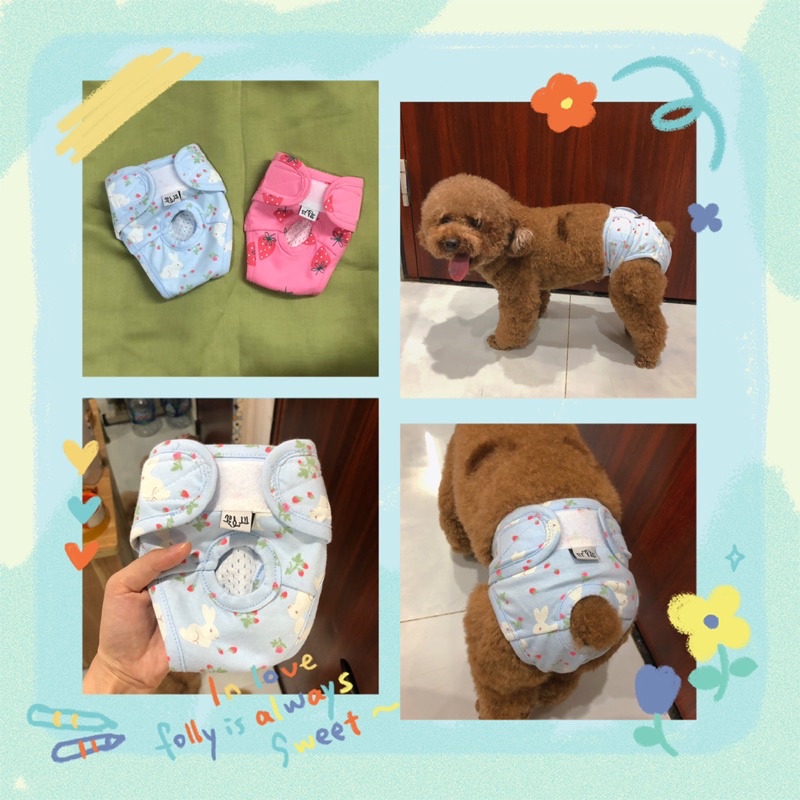 Quần sinh lý new-colors Titpet giành cho cún cái