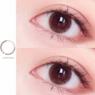 Combo sỉ lens