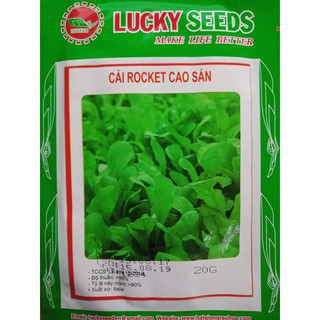 Hạt giống rau cải rocket cao sản