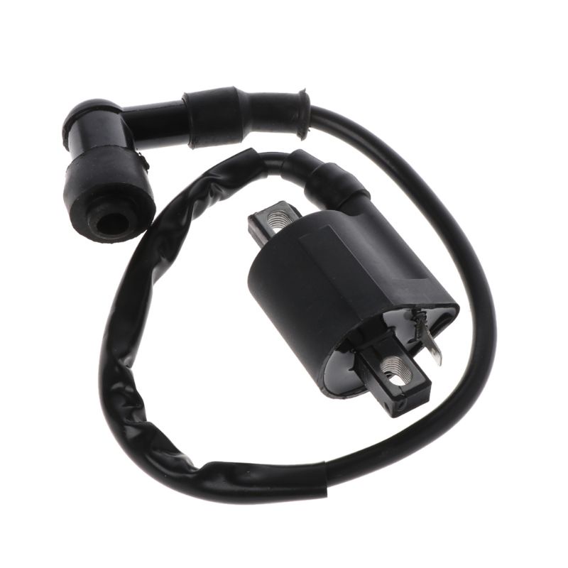 Cuộn Dây Đánh Lửa Cho Xe Máy 50 125cc 150cc 200cc