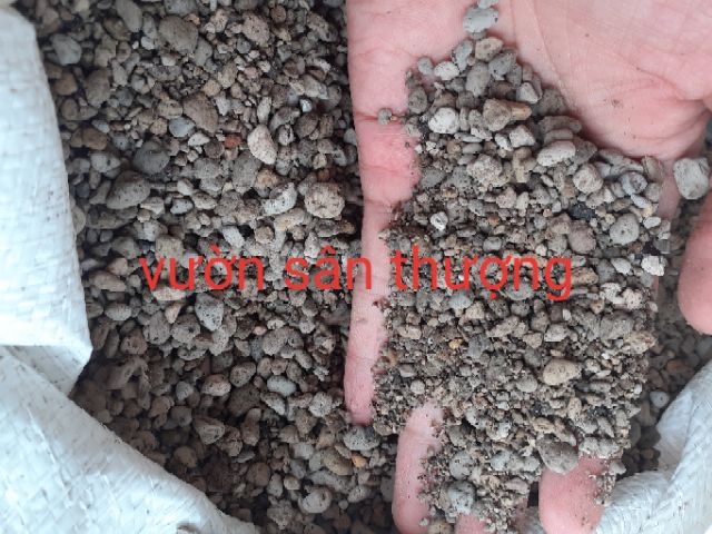 1 kg Đá Pumice Indo ( bọt đá núi lửa, nham thạch) Size Tự Chọn Chuyên Dùng Trộn Giá Thể Sen Đá, Hồng, Lan, Bonsai ..