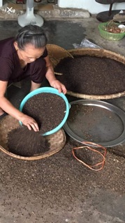 Hạt tiêu đắc lắc