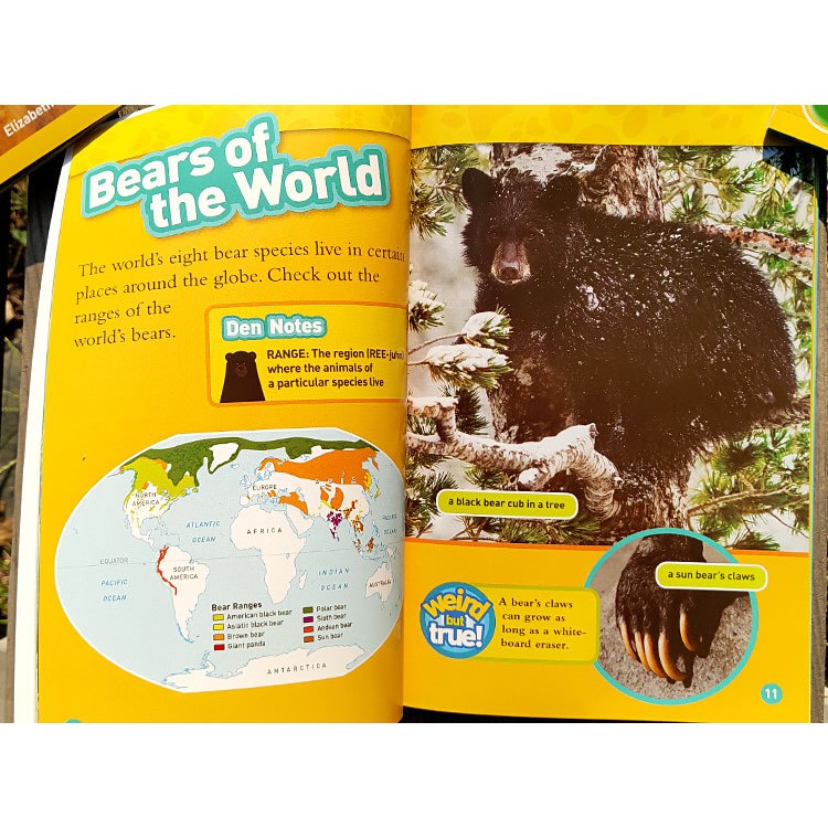 đồ chơi - nhập - national geographic kids  (22q - level 3)