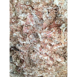 Dớn con sâu Chi lê gói 100gr