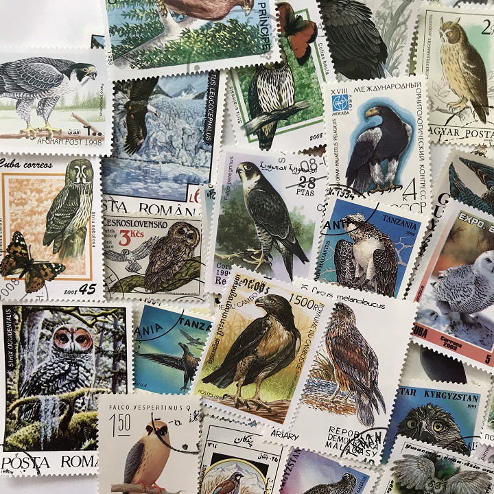Bộ tem sưu tầm 100 tem chủ đề Chim ; Tem nhiều hình ảnh các loại chim, hình dáng đặc sắc; nhiều kích thước-TEM004