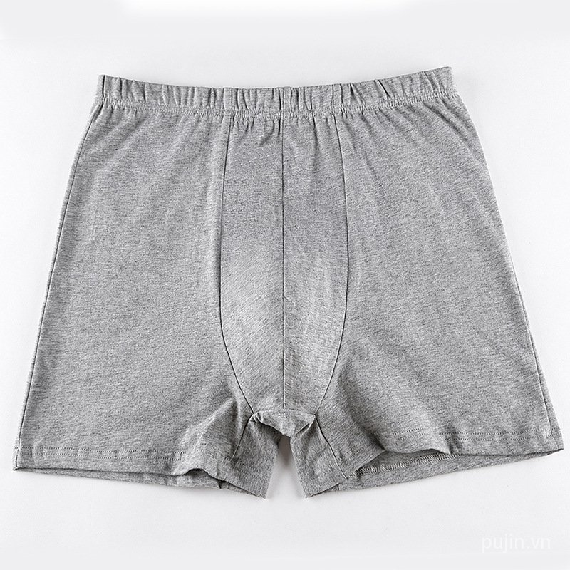 Quần Lót Boxer Cotton Lưng Vừa L-6Xl (40Kg - 100kg) Cho Nam