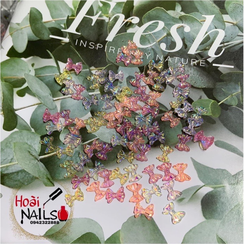 set 10 hình gấu - nơ