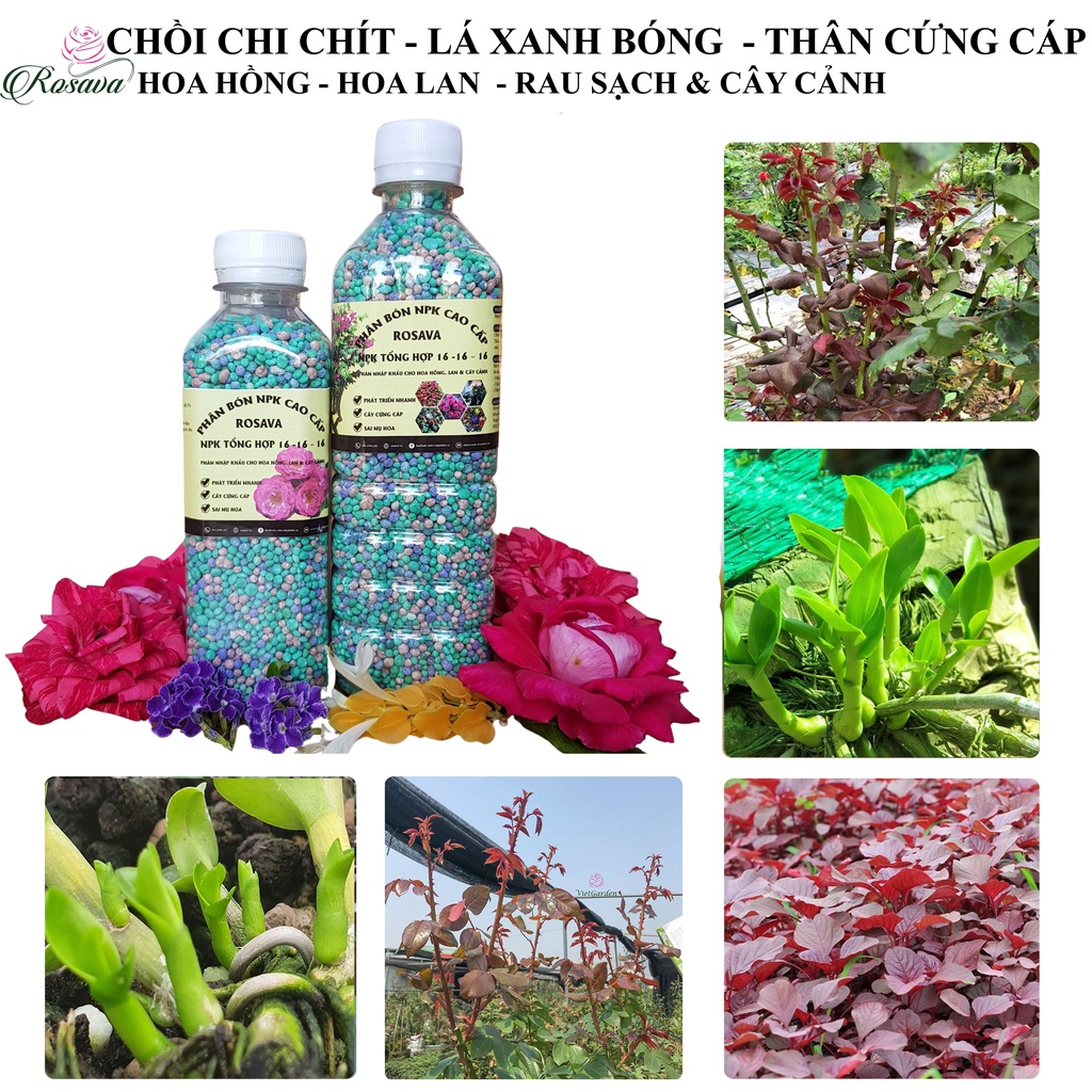 Phân npk, phân bón đầu trâu nhập khẩu cho hoa hồng, cây cảnh, hoa giấy, sen đá, hoa lan, rau