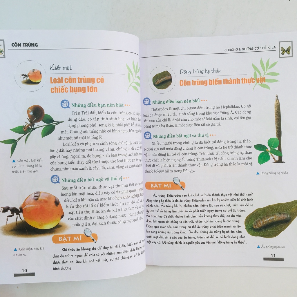 Sách Khám Phá Bí Ẩn Thế Giới Tự Nhiên (Trọn Bộ 5 Cuốn)