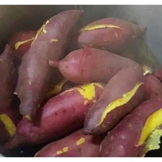 Khoai Lang Nhật củ Thon dài 1kg