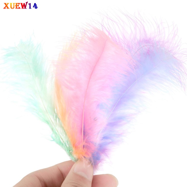 Set 50 lông vũ 4-6 inch 10-15cm nhiều màu sắc dùng trang trí