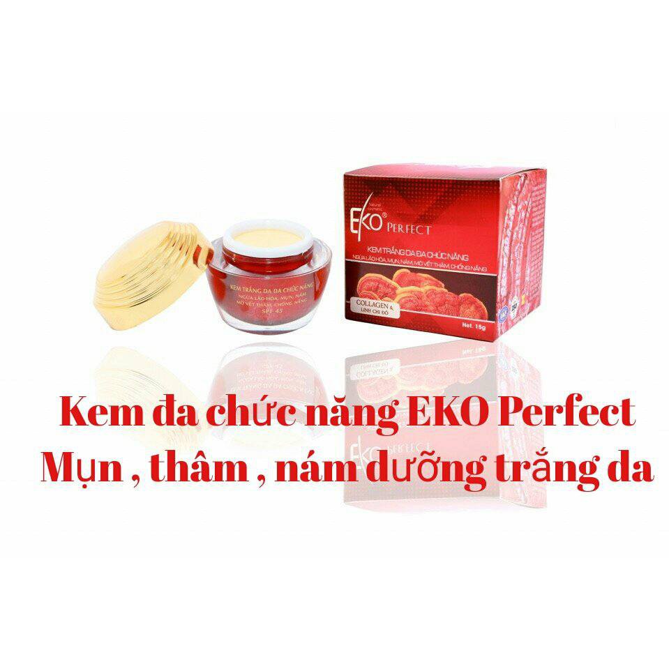 Kem trắng da đa chức năng EKO PERFECT 9g/15g/30g/50g
