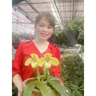 Hoa Lan đột biến hài hằng(1 cây)