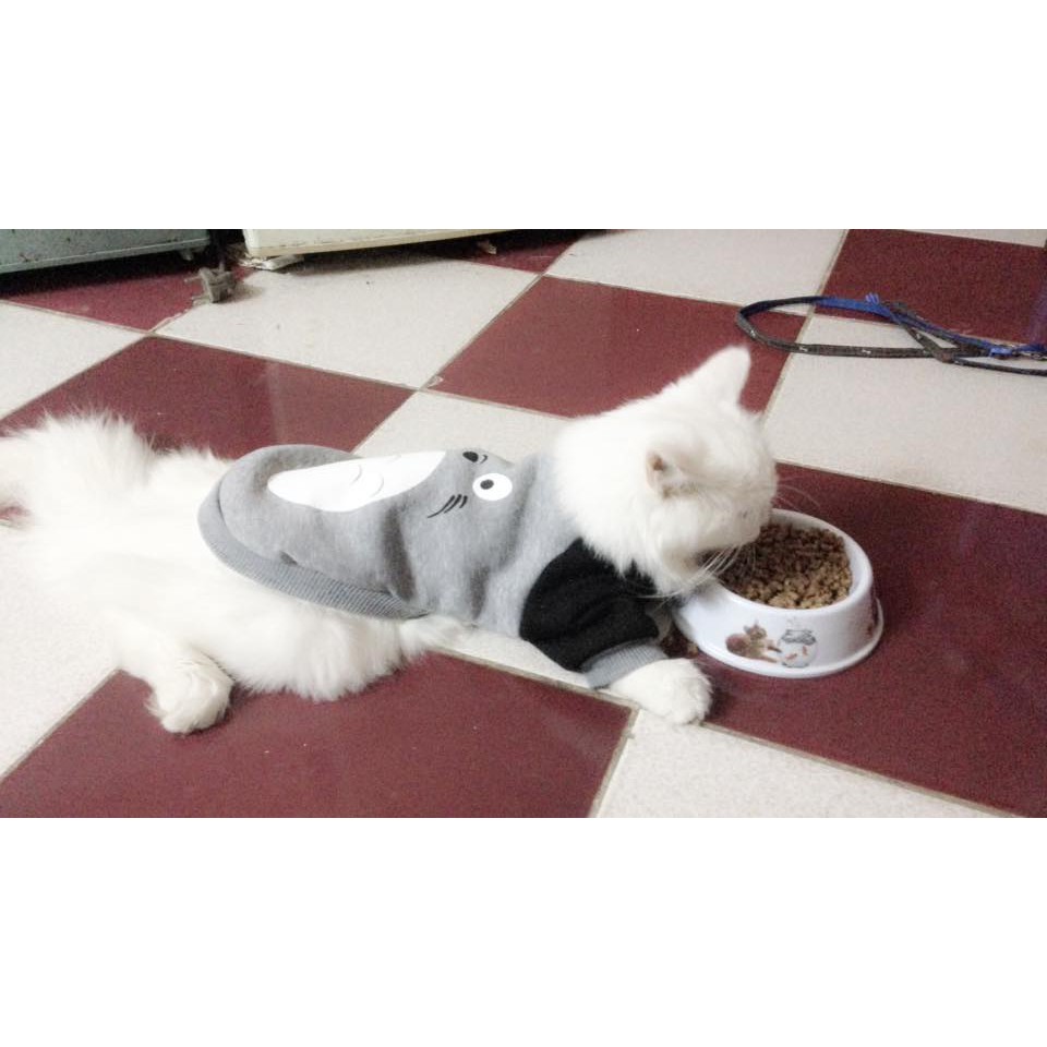 Áo chó mèo giá rẻ hình TOTORO