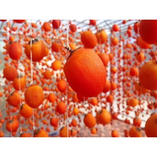 Hồng Sấy Gió Hosagi