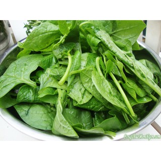 Hạt Giống Mồng Tơi 20gr