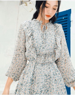 ĐẦM HOA BÈO NGỰC (KÈM HÌNH THẬT)