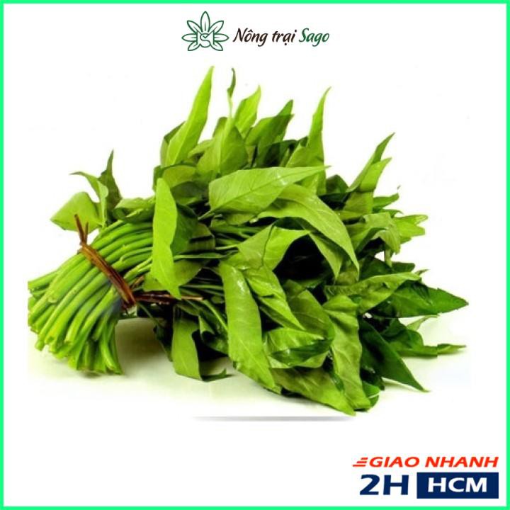 Hạt Giống Rau Muống Lá Lớn Dễ Chăm Sóc, Trồng Quanh Năm (gói 50 gr) - Nông Trại Sago