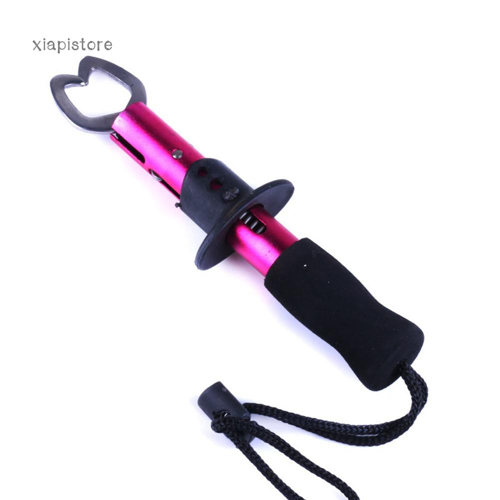Dụng Cụ Kẹp Cá Mini 17Cm Bằng Thép Không Gỉ