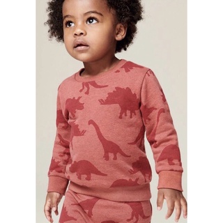 Bộ dài tay bé trai - Set bộ nỉ hoạ tiết khủng long Next màu đỏ cam cho bé trai size 1-6t
