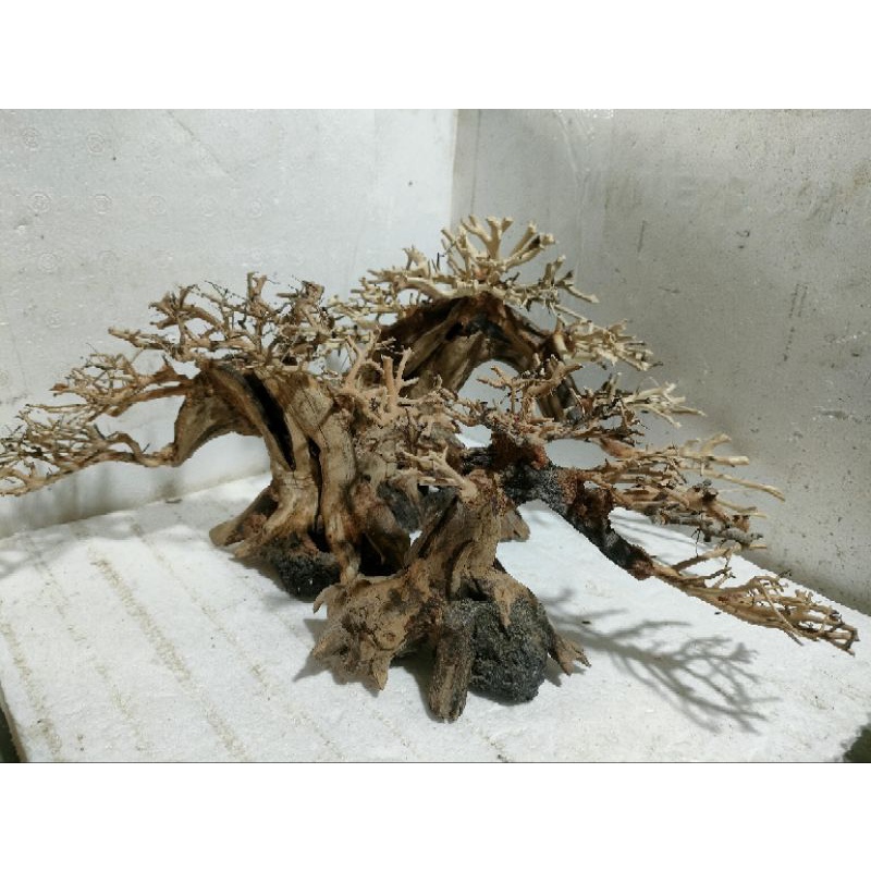 Lũa Bonsai hồ cá thủy sinh, lũa cấy rêu, rấy, lũa 3D