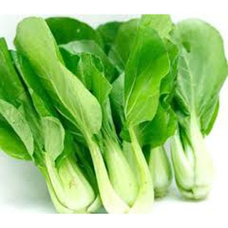 20gram HẠT GIỐNG CẢI THÌA
