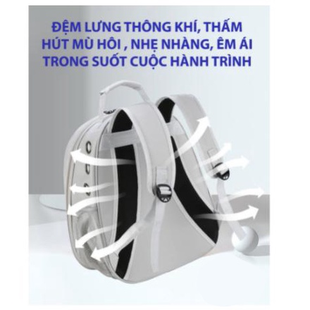 Balo Cho Mèo Mặt silicon Trong Suốt, Chất Liệu Nhựa Dẻo, Dễ Dàng Gấp Gọn, Hoạt Tiết Hoạt Hình Dễ Thương