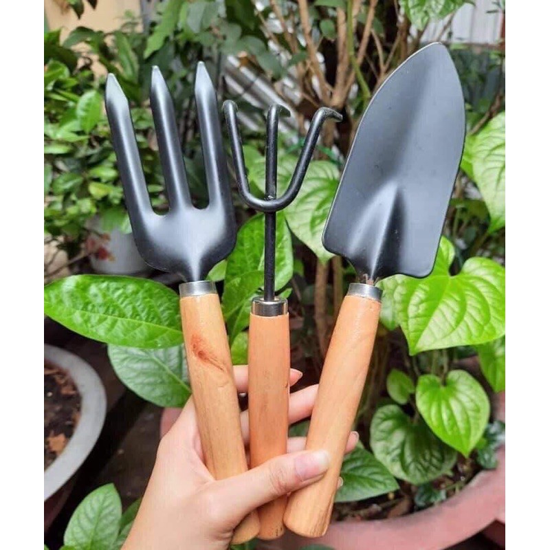 Bộ dụng cụ làm vườn 3 món 35 nghìn.