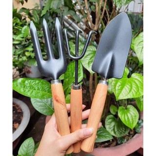 bộ dụng cụ làm vườn 3 món 35 nghìn.
