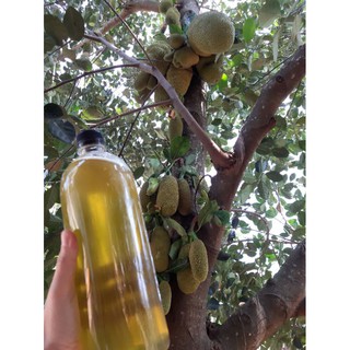 Mật ong bạc hà