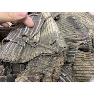 Đỗ trọng loại 1 - 100g