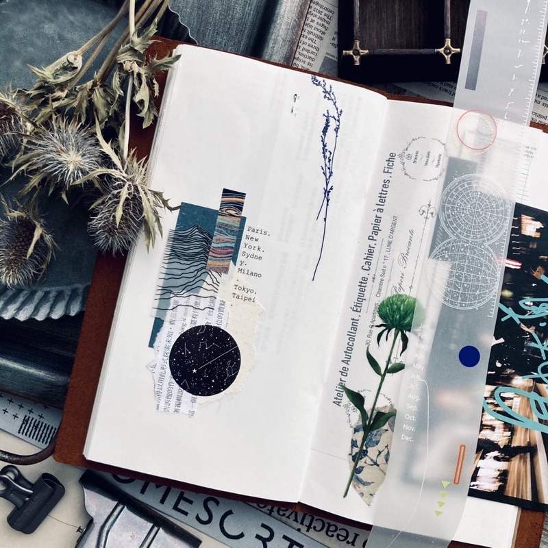 AM164 Cuộn WashiTape Heliocentric của hãng Somesortof.Fern chiết lẻ chu kỳ